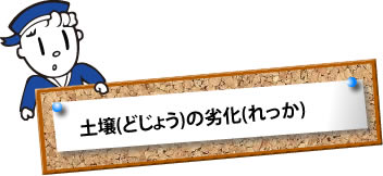 土壌(どじょう)の劣化(れっか)