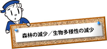 森林の減少／生物多様性の減少