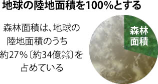 森林面積は、地球の陸地面積のうち　約２７％〔約３４億㌶〕を占めている