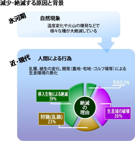 減少･絶滅する原因と背景