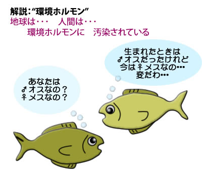 解説:“環境ホルモン”
